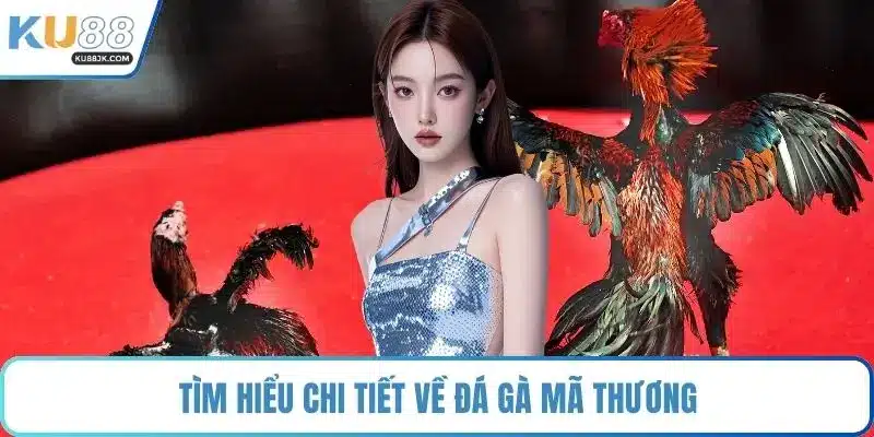 Tìm hiểu chi tiết về đá gà mã thương