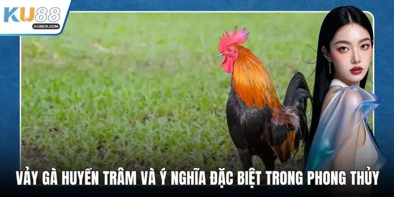 Vảy gà huyền trâm